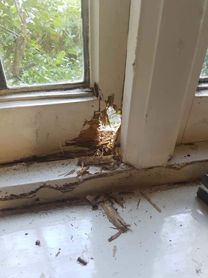 Period Casment Window Pre Repair